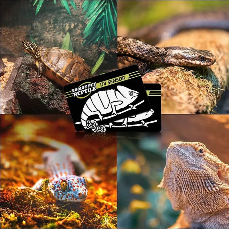 2 Stück Fluoreszierende Farbwechselkarte Reptilienbeleuchtung UVA UVB Tester Testkarte zur schnellen Erkennung von UVB Amphibienlampe | Karnz