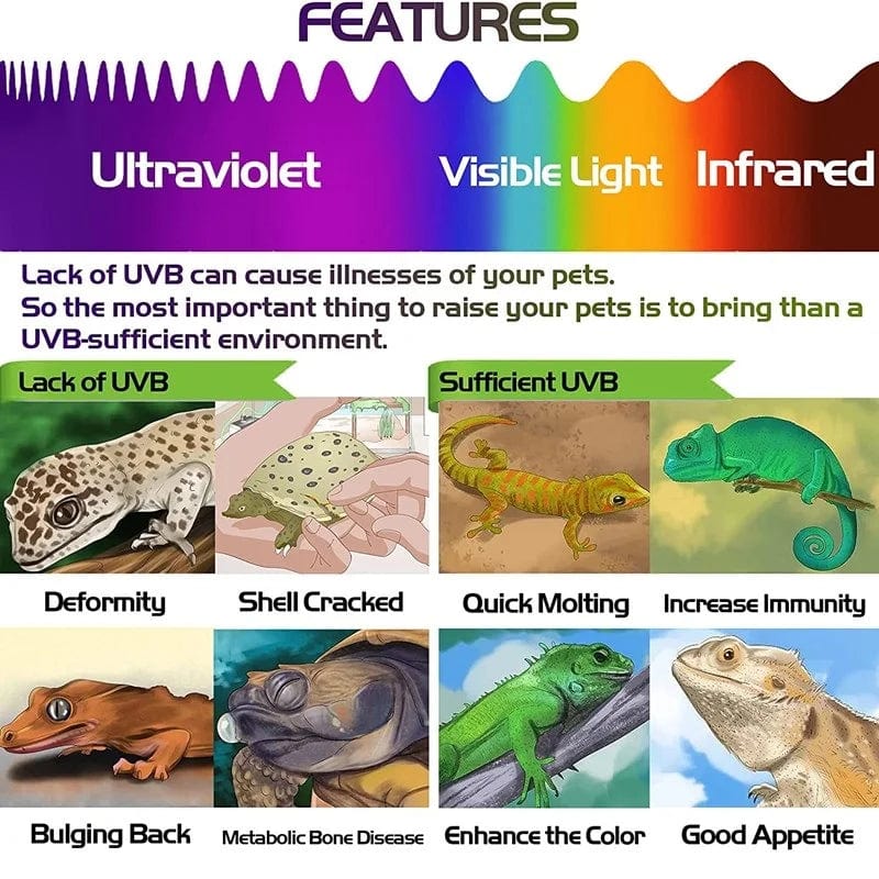2 Stück Fluoreszierende Farbwechselkarte Reptilienbeleuchtung UVA UVB Tester Testkarte zur schnellen Erkennung von UVB Amphibienlampe | Karnz
