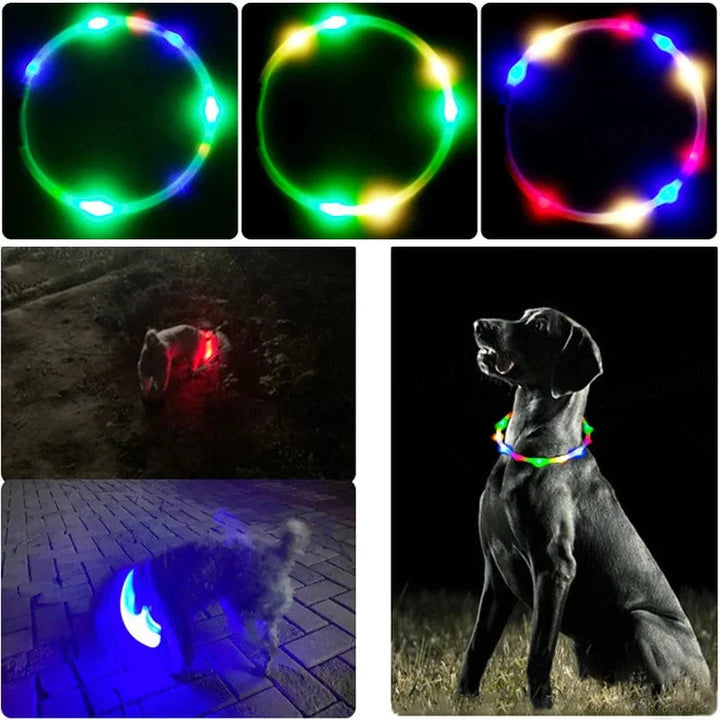 3 Modi Hund Luminou Ladehalsband Led Usb Katze Silikon Farbiger Kragen Abnehmbares Nachtleuchten Haustier Verlustprävention Hunde Zubehör | Karnz