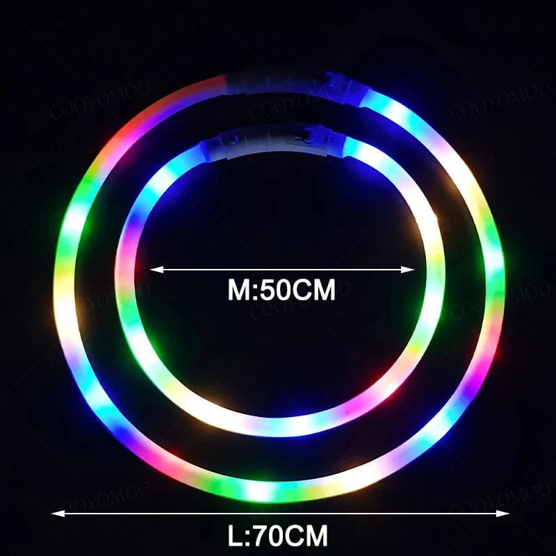 3 Modi Hund Luminou Ladehalsband Led Usb Katze Silikon Farbiger Kragen Abnehmbares Nachtleuchten Haustier Verlustprävention Hunde Zubehör | Karnz