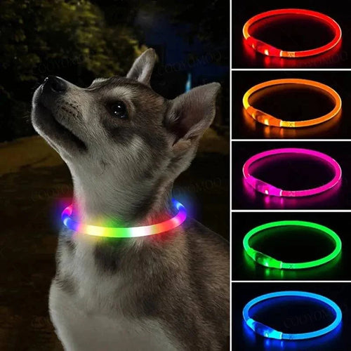 3 Modi Hund Luminou Ladehalsband Led Usb Katze Silikon Farbiger Kragen Abnehmbares Nachtleuchten Haustier Verlustprävention Hunde Zubehör | Karnz