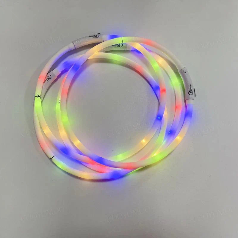 3 Modi Hund Luminou Ladehalsband Led Usb Katze Silikon Farbiger Kragen Abnehmbares Nachtleuchten Haustier Verlustprävention Hunde Zubehör | Karnz