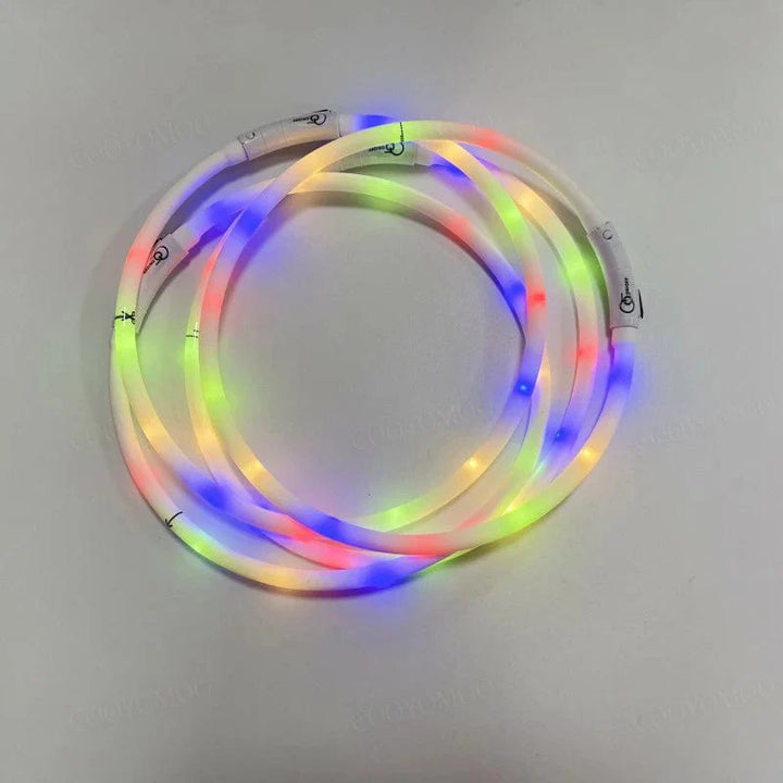 3 Modi Hund Luminou Ladehalsband Led Usb Katze Silikon Farbiger Kragen Abnehmbares Nachtleuchten Haustier Verlustprävention Hunde Zubehör | Karnz
