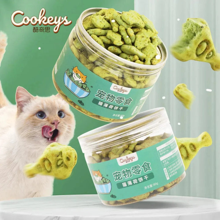 Kat Minze Keks Katze Essend Snack Haustier Mahlzahn Ernährung Dickmachend Kätzchen Snack Erwachsen Katze Belohnung | Karnz