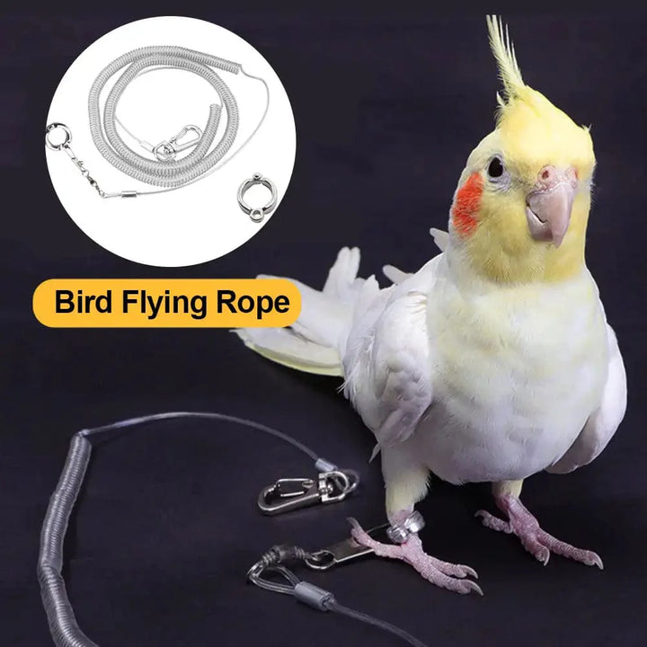 3M/6M Papagei Vogel Flugtrainingsleine Ultraleicht Flexibles Seil Anti-Biss mit Beinschlaufe Geschirr Vogel Trainingsseil Außen | Karnz