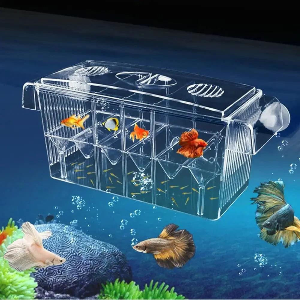 Aquarium Zucht Inkubator Isolationsbox Doppelter Layer 4 Räume Transparentes Acryl Selbstschwimmende Fischbrutkasten Fischtank | Karnz