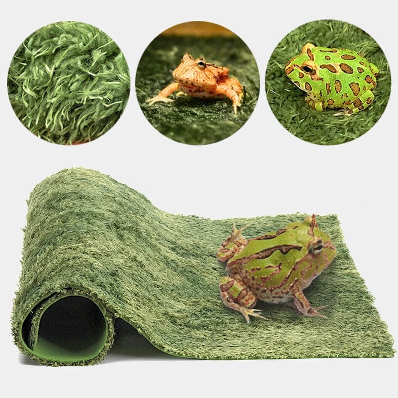 Verdickte doppelschichtige Reptilien Haustier Moos Teppich Polstermaterial Frosch Schildkröte Schlange Eidechse Matten befeuchtender Kunstrasen | Karnz