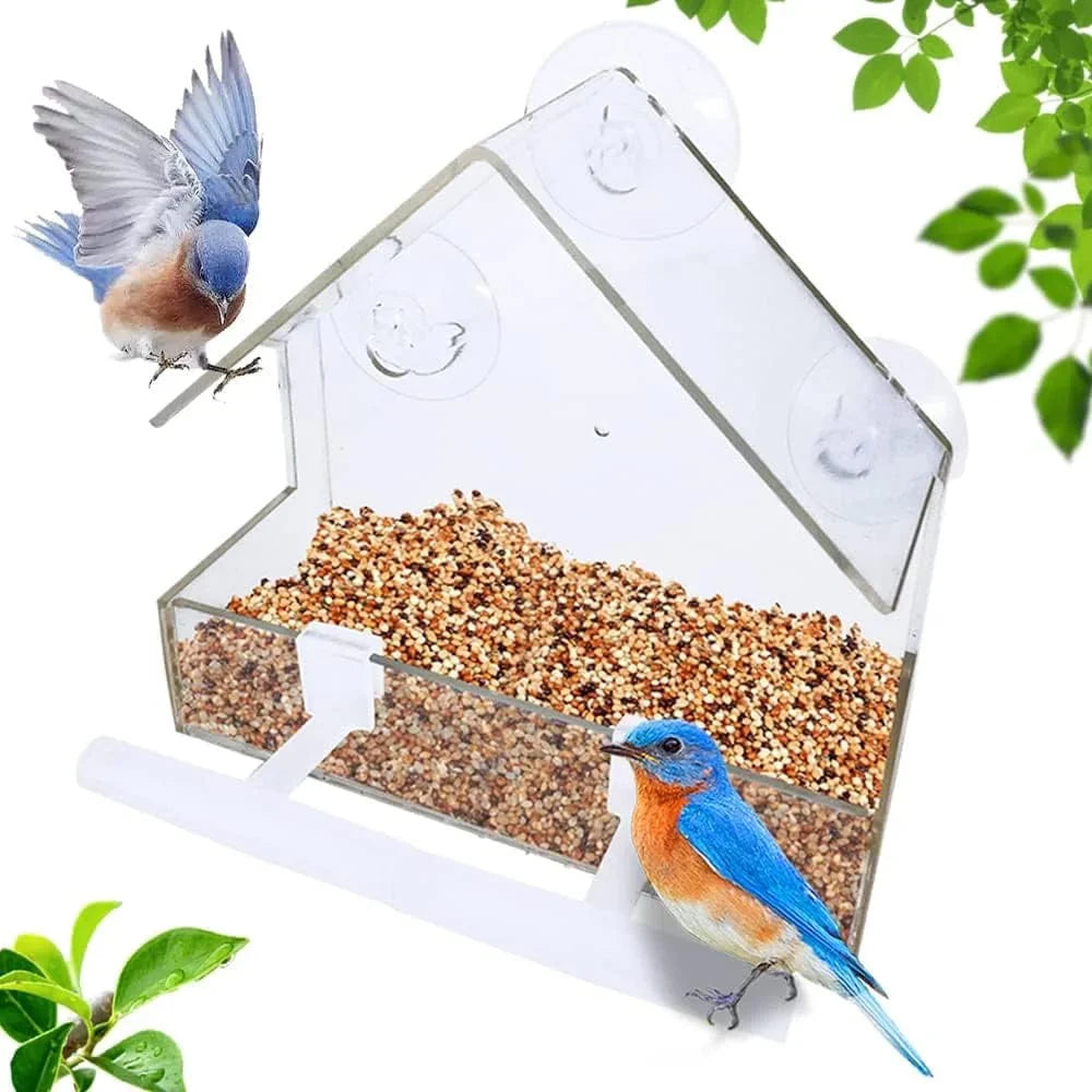 Acrylklarer Glasfenster Vögel hängender Futterspender Vogelhaus Nahrung Fütterung Haus Tisch Saat Erdnuss Saugnapf | Karnz