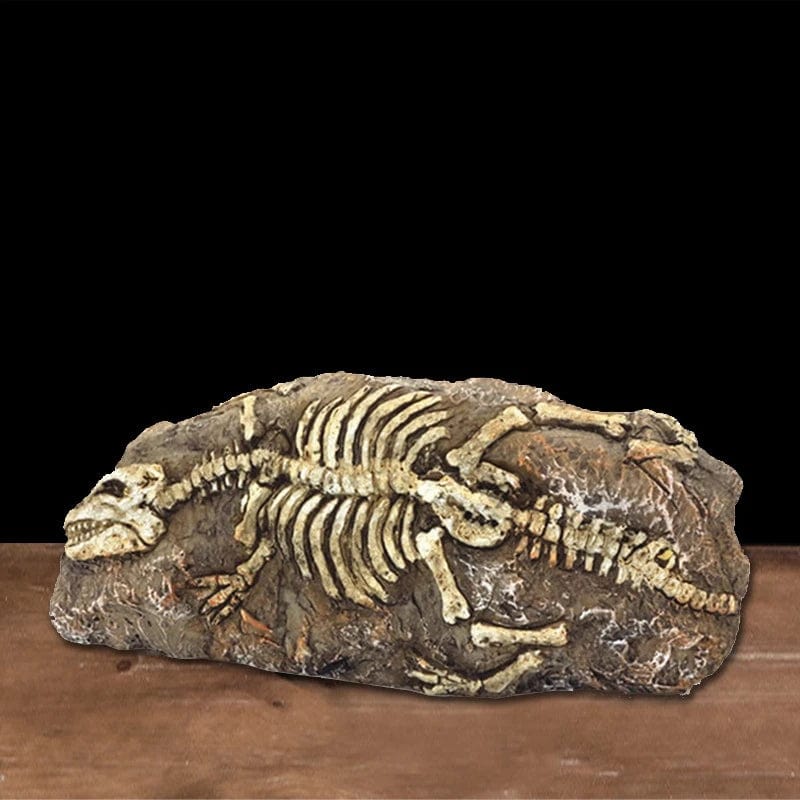 Tiere Schädel Fisch Tank Fossil Dinosaurier Ornamente Aquarium Nashorn Knochen Dekoration Fischschüssel Krokodil Quallen Karpfen Schildkröte | Karnz