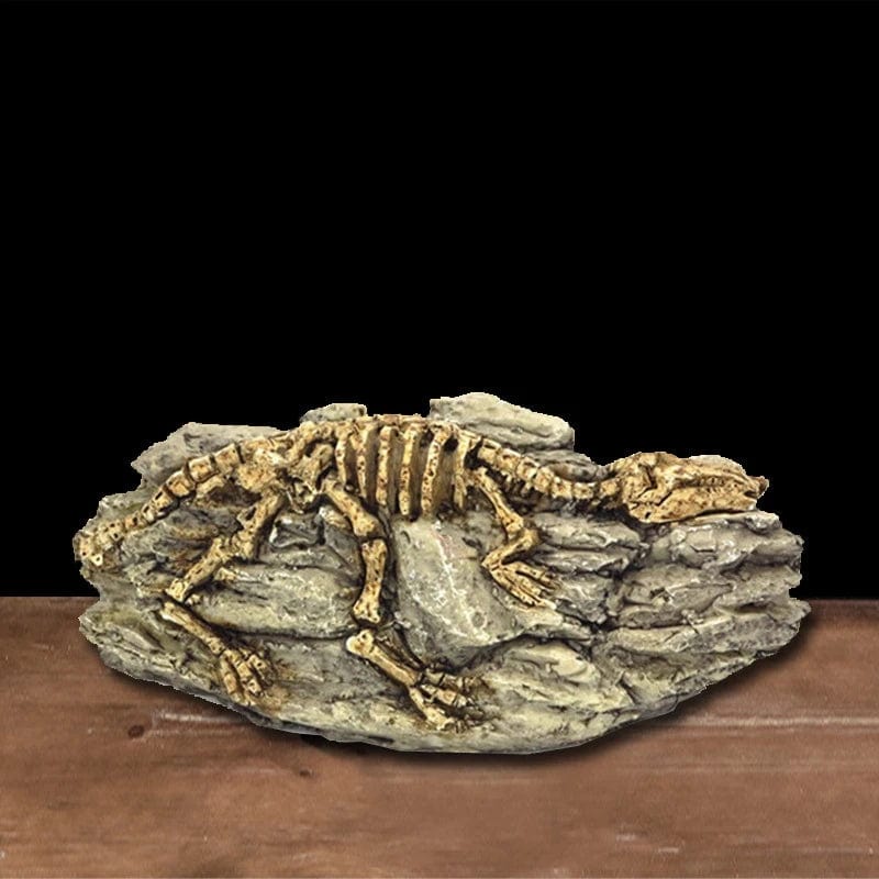 Tiere Schädel Fisch Tank Fossil Dinosaurier Ornamente Aquarium Nashorn Knochen Dekoration Fischschüssel Krokodil Quallen Karpfen Schildkröte | Karnz