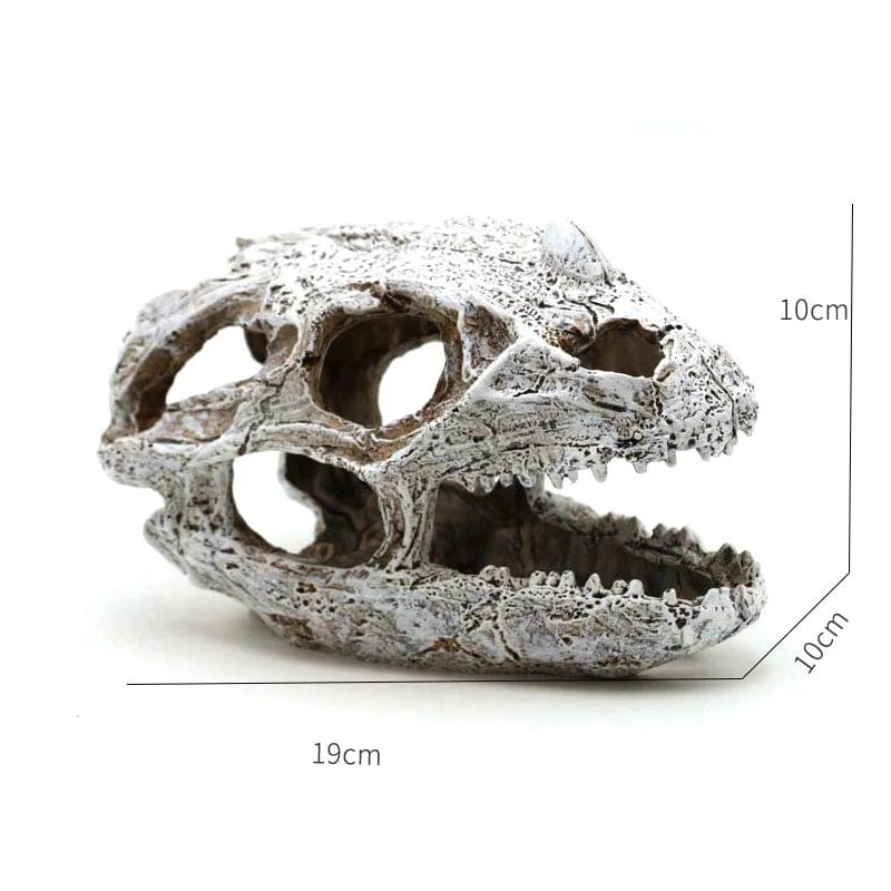 Tiere Schädel Fisch Tank Fossil Dinosaurier Ornamente Aquarium Nashorn Knochen Dekoration Fischschüssel Krokodil Quallen Karpfen Schildkröte | Karnz