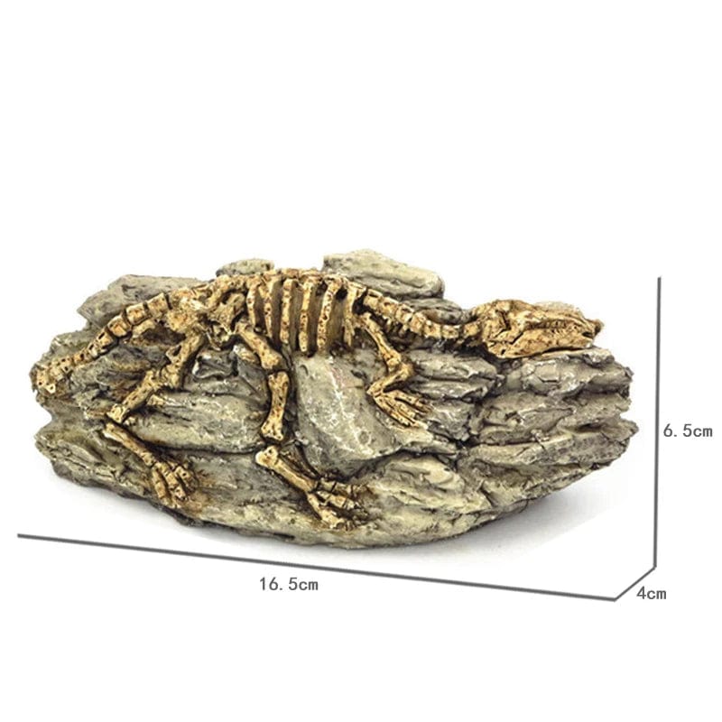 Tiere Schädel Fisch Tank Fossil Dinosaurier Ornamente Aquarium Nashorn Knochen Dekoration Fischschüssel Krokodil Quallen Karpfen Schildkröte | Karnz