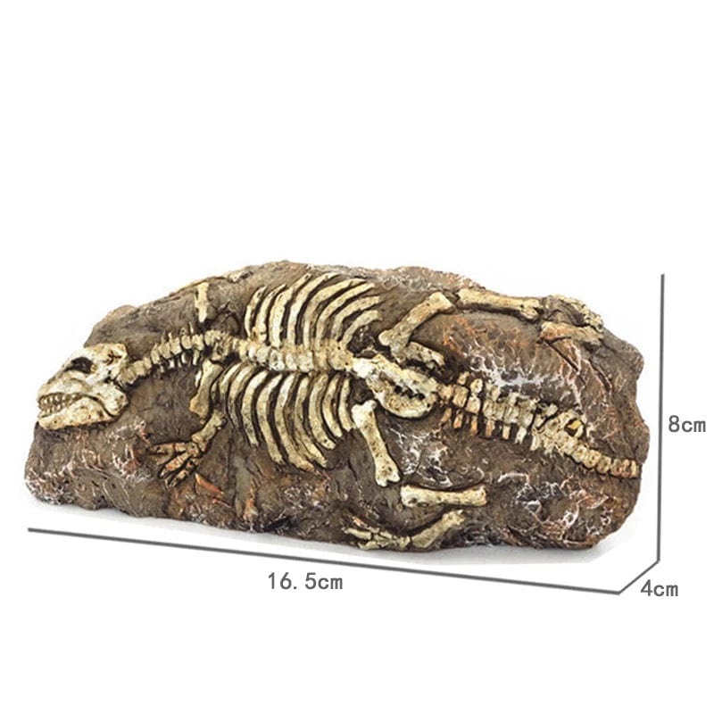 Tiere Schädel Fisch Tank Fossil Dinosaurier Ornamente Aquarium Nashorn Knochen Dekoration Fischschüssel Krokodil Quallen Karpfen Schildkröte | Karnz