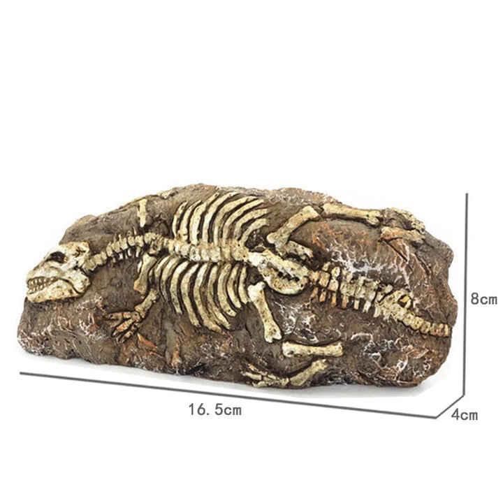 Tiere Schädel Fisch Tank Fossil Dinosaurier Ornamente Aquarium Nashorn Knochen Dekoration Fischschüssel Krokodil Quallen Karpfen Schildkröte | Karnz