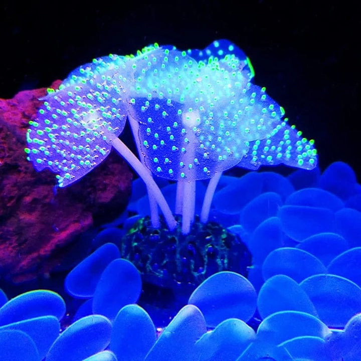 Fluoreszierende Aquariumdekoration Fischtanklandschaft Korallensimulation Korallenornamente Kleine Unterwasserwelt Landschaftsdekoration | Karnz