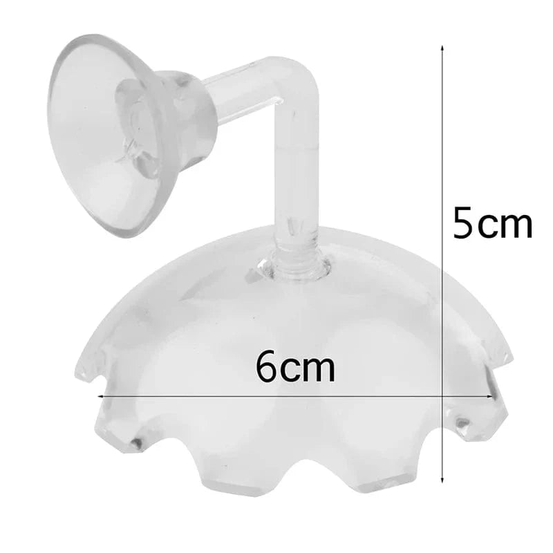 Shrimp Feeder Dish Shrimp Feed Dish Aquarium Fish Tank Shrimp Food Bowl Feeding Clear Glass Feeding Tube Dish Suction Accessory | Karnz