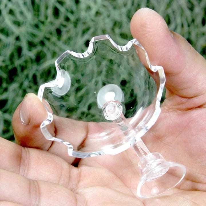 Shrimp Feeder Dish Shrimp Feed Dish Aquarium Fish Tank Shrimp Food Bowl Feeding Clear Glass Feeding Tube Dish Suction Accessory | Karnz