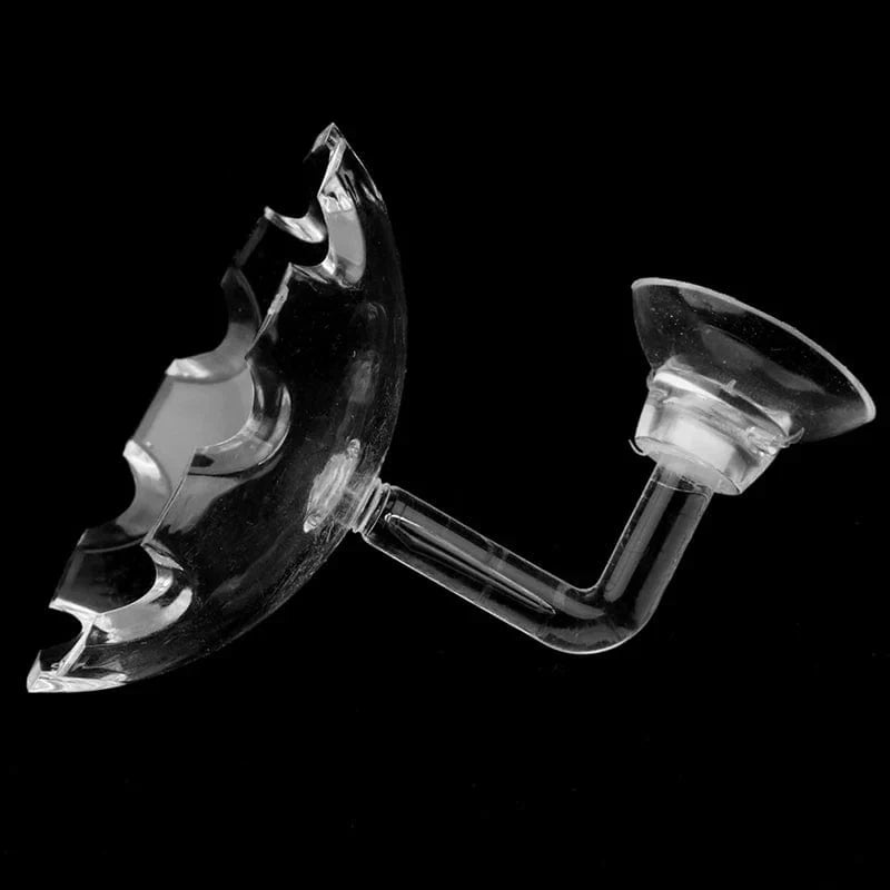 Shrimp Feeder Dish Shrimp Feed Dish Aquarium Fish Tank Shrimp Food Bowl Feeding Clear Glass Feeding Tube Dish Suction Accessory | Karnz