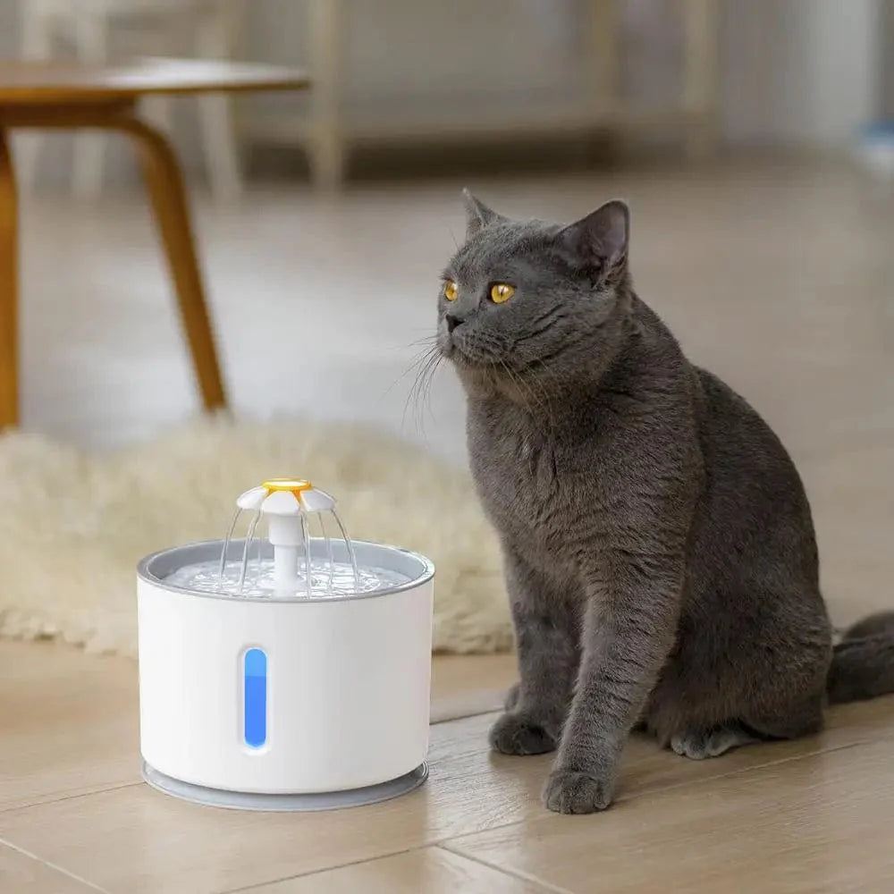 Automatische Haustier-Katzen-Wasserspender mit LED-Beleuchtung 5 Stück Filter 2,4L USB Hunde Katzen Leiser Trinker Futterspender Schüssel Trinkspender | Karnz