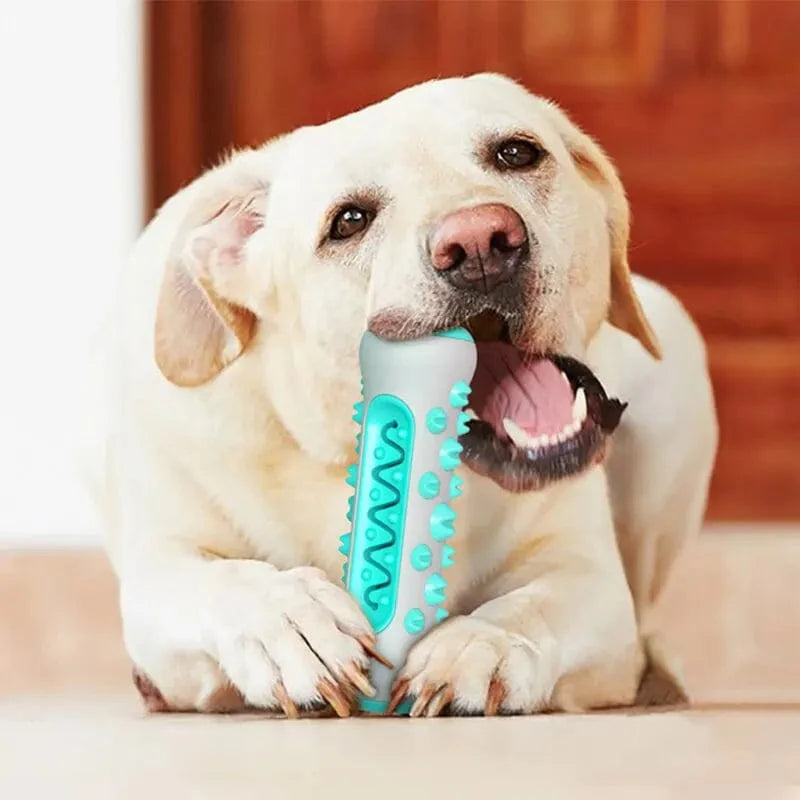 Hundespielzeug Zahnen Stick Kaubare Zähne Reinigung Knochen Hund Zahnbürste TPR Sicher Welpe Zahnpflege Reinigungs Spielzeuge Zubehör | Karnz