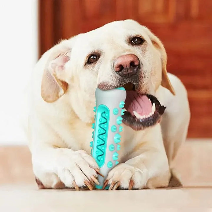 Hundespielzeug Zahnen Stick Kaubare Zähne Reinigung Knochen Hund Zahnbürste TPR Sicher Welpe Zahnpflege Reinigungs Spielzeuge Zubehör | Karnz