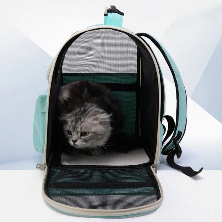 Katentrage Taschen Winddicht Outdoor Reise Rucksack für Katzen Kleine Hunde Transport Tragetasche Katzenrucksäcke mit Kissen | Karnz