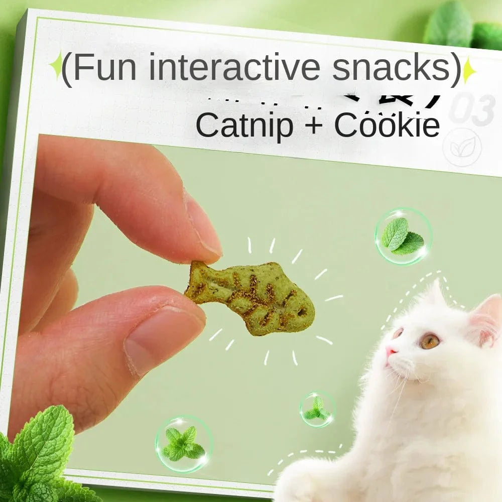 Kat Minze Keks Katze Essend Snack Haustier Mahlzahn Ernährung Dickmachend Kätzchen Snack Erwachsen Katze Belohnung | Karnz