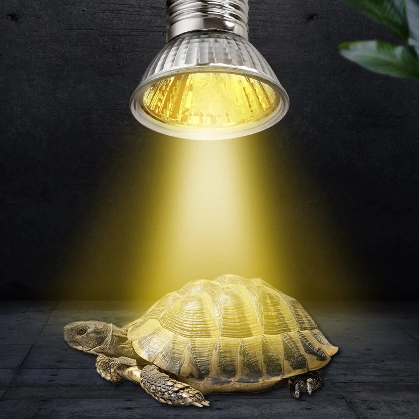 CE Reptilienlampe UVA+UVB 3.0 Haustierheizlampe Glühbirne Schildkrötenbaskinglicht Glühbirnen Amphibien Eidechsen Temperaturregelung | Karnz