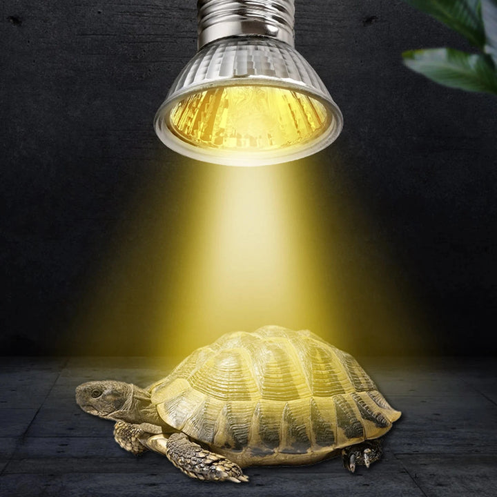 CE Reptilienlampe UVA+UVB 3.0 Haustierheizlampe Glühbirne Schildkrötenbaskinglicht Glühbirnen Amphibien Eidechsen Temperaturregelung | Karnz