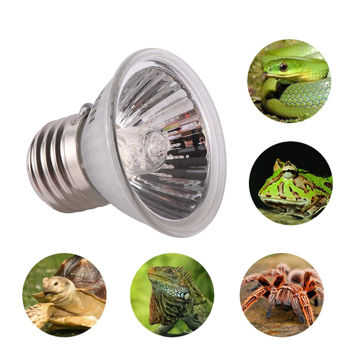 CE Reptilienlampe UVA+UVB 3.0 Haustierheizlampe Glühbirne Schildkrötenbaskinglicht Glühbirnen Amphibien Eidechsen Temperaturregelung | Karnz