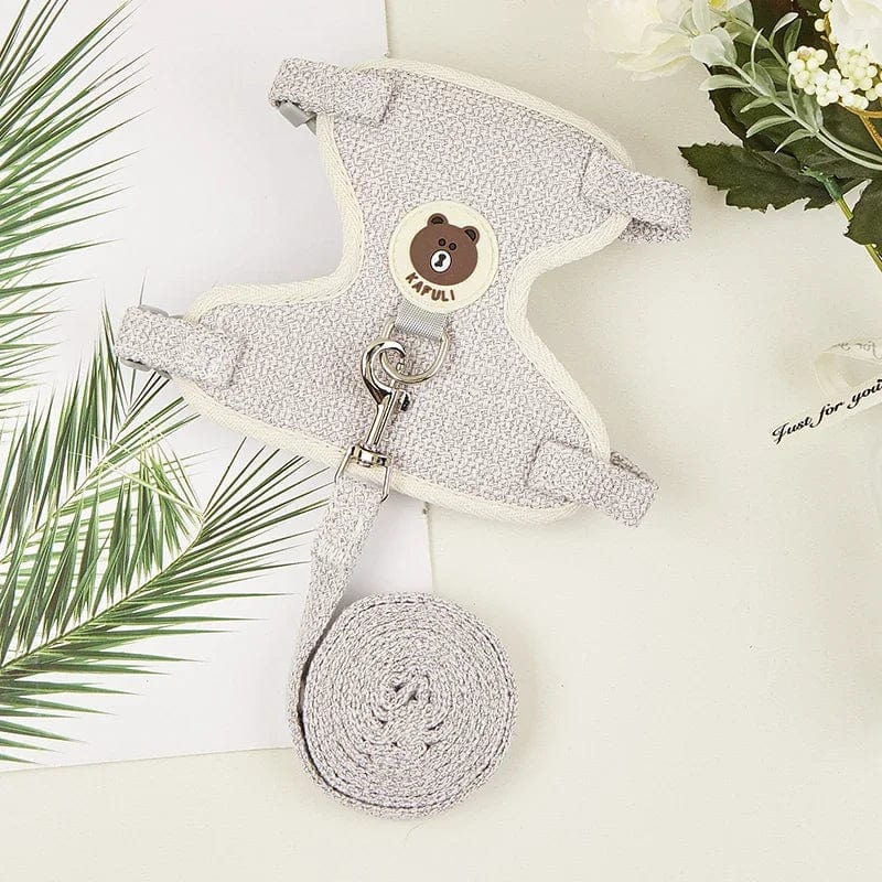Süßes Kaninchen Geschirr Leine Set Bunny Haustierzubehör Kleintiertrage Teddy Katze Leine Kaninchenkragen Kaninchenzubehör | Karnz