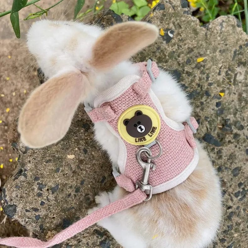 Süßes Kaninchen Geschirr Leine Set Bunny Haustierzubehör Kleintiertrage Teddy Katze Leine Kaninchenkragen Kaninchenzubehör | Karnz