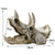 Tiere Schädel Fisch Tank Fossil Dinosaurier Ornamente Aquarium Nashorn Knochen Dekoration Fischschüssel Krokodil Quallen Karpfen Schildkröte | Karnz
