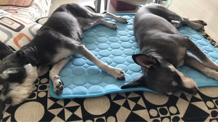 Hunde-Kühlmatte Sommerpad für Hunde Katzen Decke Atmungsaktives Hundebett Kennel Welpen Schlafsofa Kissen Hundezubehör | Karnz