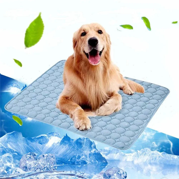 Hunde-Kühlmatte Sommerpad für Hunde Katzen Decke Atmungsaktives Hundebett Kennel Welpen Schlafsofa Kissen Hundezubehör | Karnz
