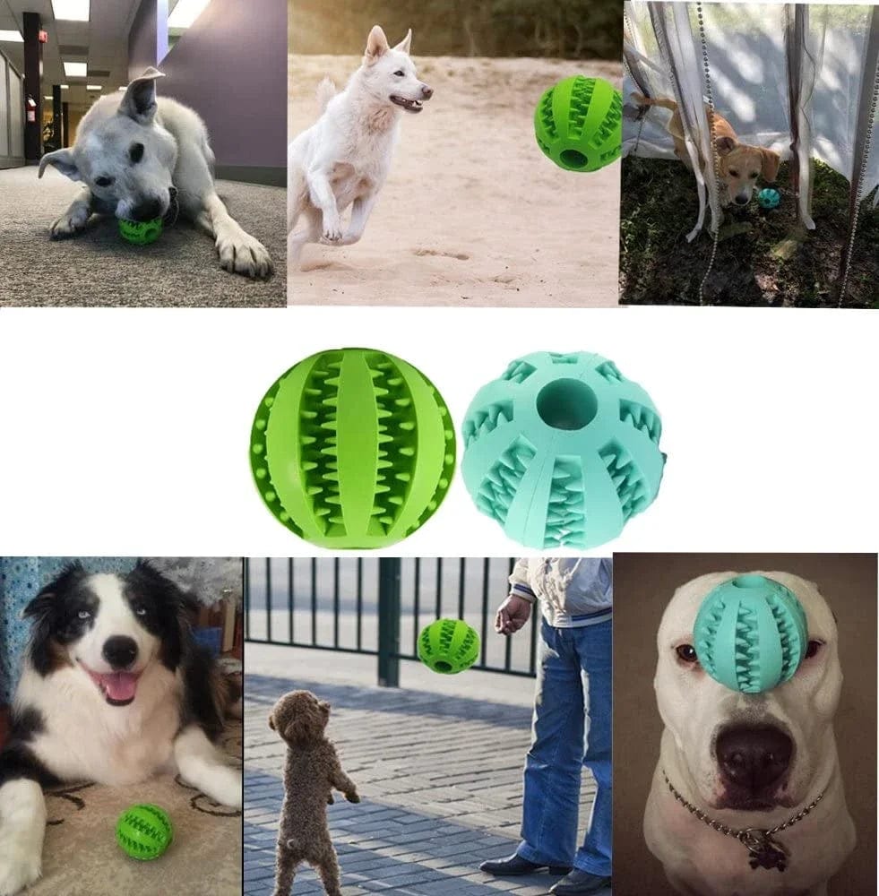 Hundfütterungsball Haustier Hundespielzeug Interaktive Gummibälle für kleine große Hunde Welpen Katzen Kau-Spielzeuge Haustier Zahnreinigung | Karnz