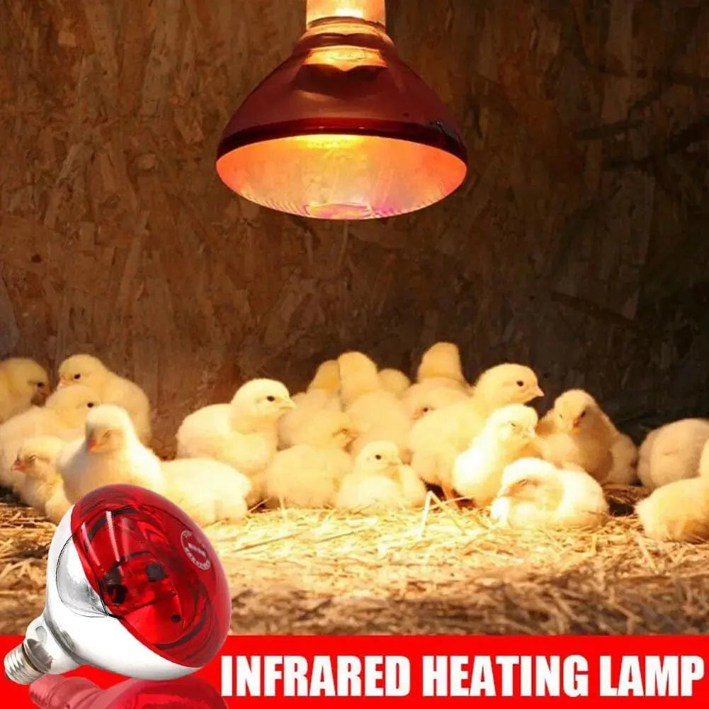 Farm Thermal Light Preservation Reptilienlebensraumlichter Hühner Infrarot Heizlicht Infrarotlampe Brutheizung Kükenlampe | Karnz
