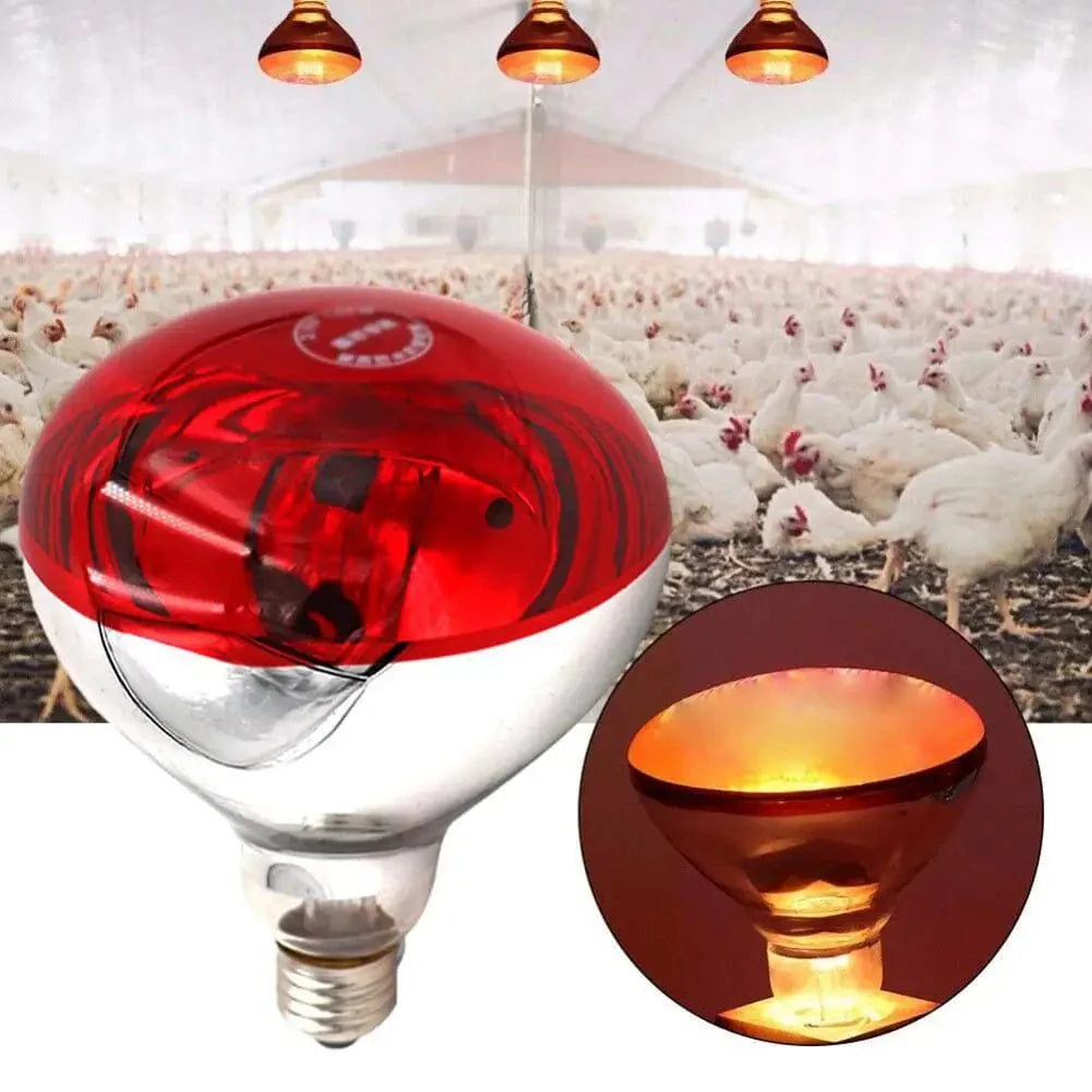 Farm Thermal Light Preservation Reptilienlebensraumlichter Hühner Infrarot Heizlicht Infrarotlampe Brutheizung Kükenlampe | Karnz