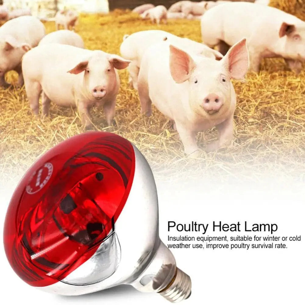 Farm Thermal Light Preservation Reptilienlebensraumlichter Hühner Infrarot Heizlicht Infrarotlampe Brutheizung Kükenlampe | Karnz