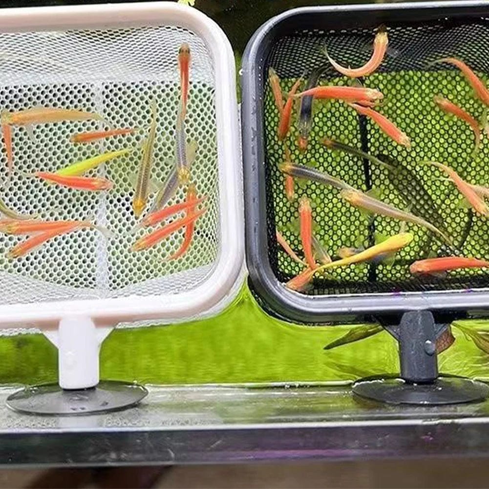 Fischen Landingnetz Rostfrei Korrosionsbeständig Edelstahl Fischernetz zum Fangen von Fischen Garnelen Tank Aquarium Zubehör | Karnz