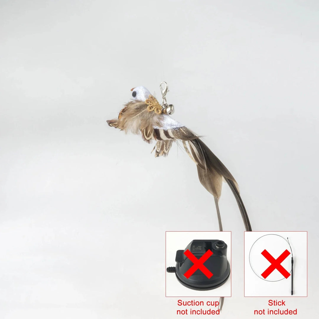 Handfree Bird/Feder Katzenangel mit Glocke Mächtiger Saugnapf Interaktive Spielzeuge für Katzen Kätzchen Jagd Bewegung Haustierprodukte | Karnz