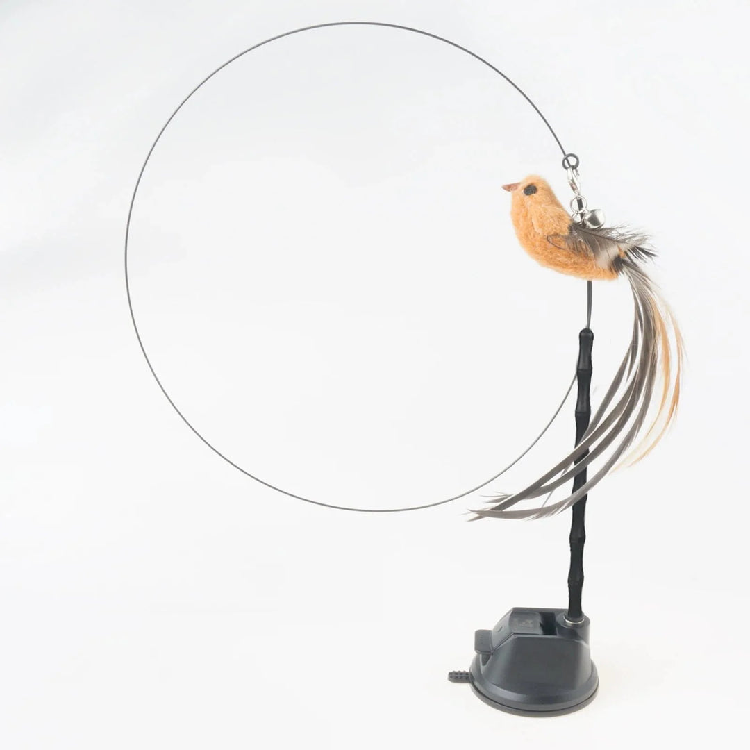 Handfree Bird/Feder Katzenangel mit Glocke Mächtiger Saugnapf Interaktive Spielzeuge für Katzen Kätzchen Jagd Bewegung Haustierprodukte | Karnz