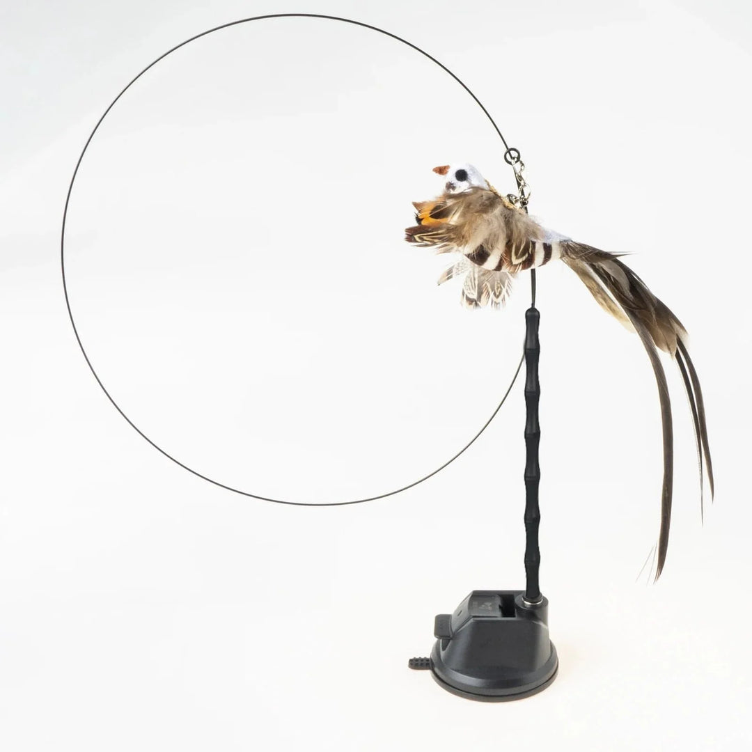 Handfree Bird/Feder Katzenangel mit Glocke Mächtiger Saugnapf Interaktive Spielzeuge für Katzen Kätzchen Jagd Bewegung Haustierprodukte | Karnz