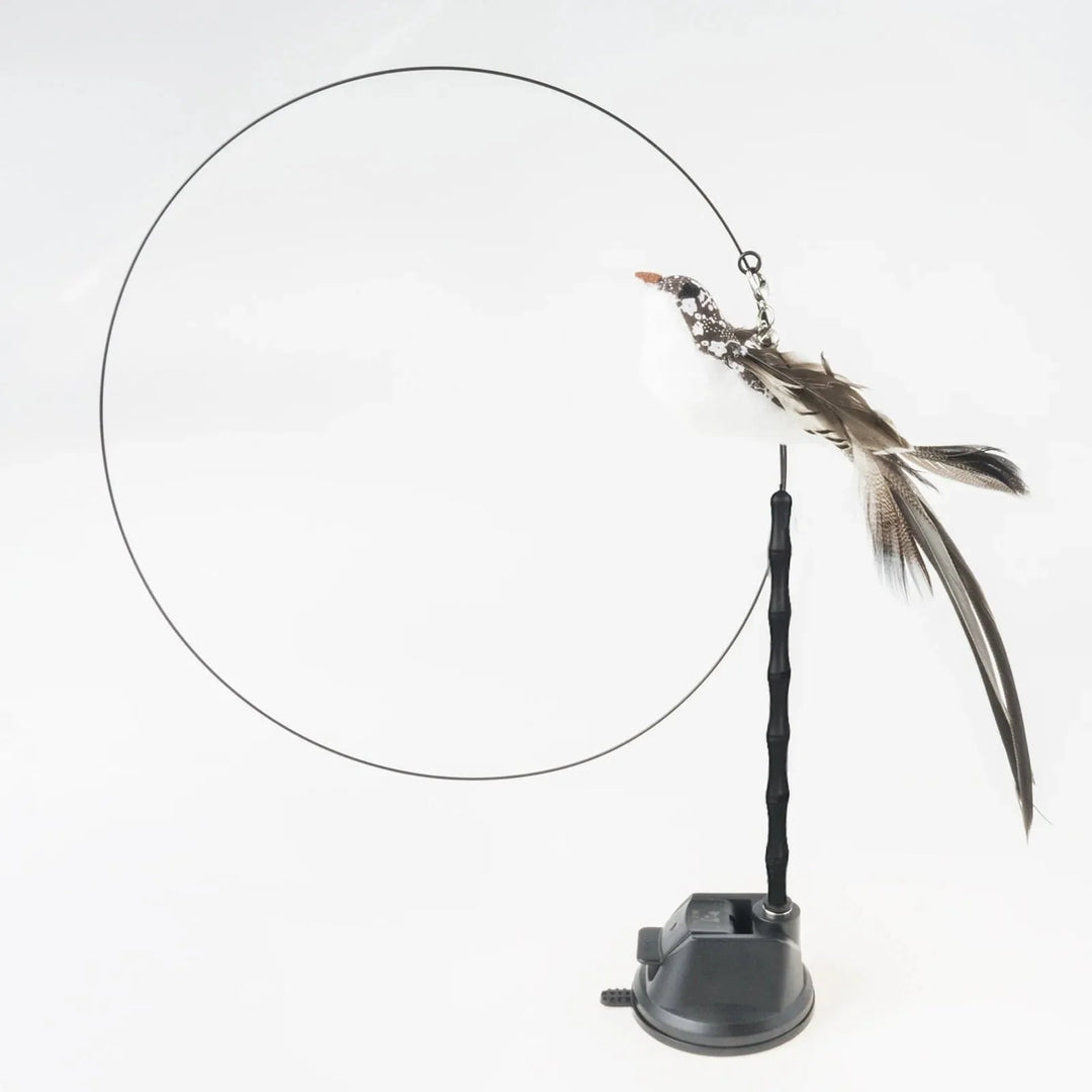 Handfree Bird/Feder Katzenangel mit Glocke Mächtiger Saugnapf Interaktive Spielzeuge für Katzen Kätzchen Jagd Bewegung Haustierprodukte | Karnz