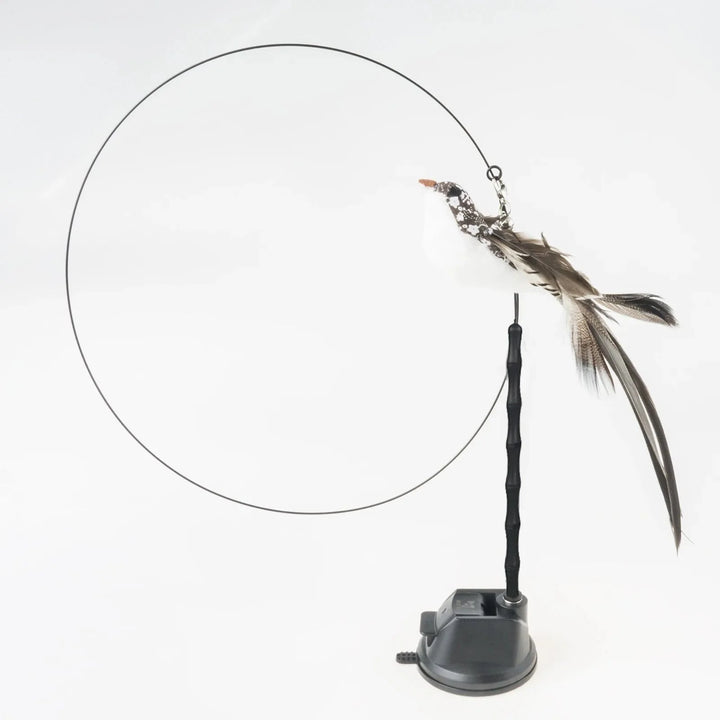 Handfree Bird/Feder Katzenangel mit Glocke Mächtiger Saugnapf Interaktive Spielzeuge für Katzen Kätzchen Jagd Bewegung Haustierprodukte | Karnz