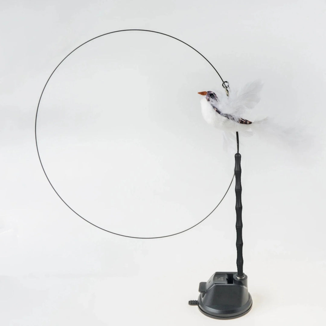 Handfree Bird/Feder Katzenangel mit Glocke Mächtiger Saugnapf Interaktive Spielzeuge für Katzen Kätzchen Jagd Bewegung Haustierprodukte | Karnz