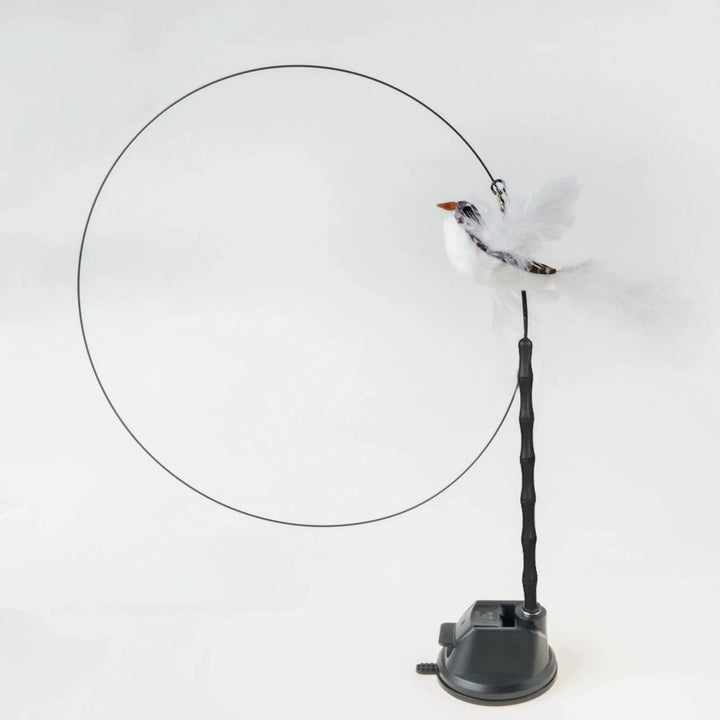 Handfree Bird/Feder Katzenangel mit Glocke Mächtiger Saugnapf Interaktive Spielzeuge für Katzen Kätzchen Jagd Bewegung Haustierprodukte | Karnz