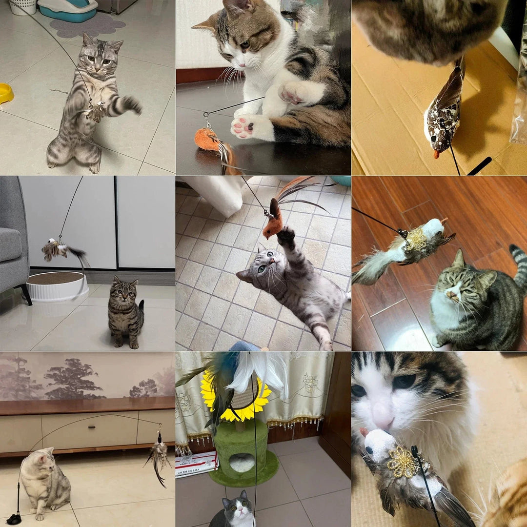 Handfree Bird/Feder Katzenangel mit Glocke Mächtiger Saugnapf Interaktive Spielzeuge für Katzen Kätzchen Jagd Bewegung Haustierprodukte | Karnz