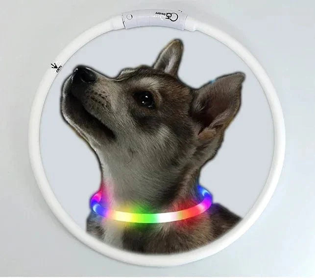 3 Modi Hund Luminou Ladehalsband Led Usb Katze Silikon Farbiger Kragen Abnehmbares Nachtleuchten Haustier Verlustprävention Hunde Zubehör | Karnz