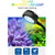 Zetlight LED Lampe M1 LED Vollspektrum Nano Kleine Aquarium Fischtank Salzwasser Salzwasser Marine Korallenriff LED und Pflanzenlicht | Karnz